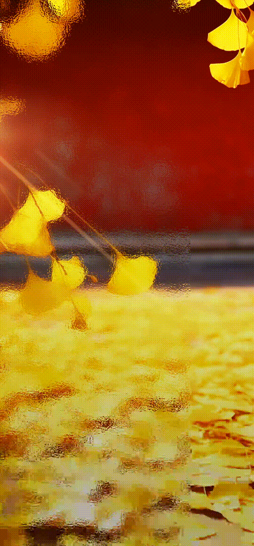 立秋 gif.gif